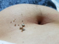 약혐) 배꼽 때 파는거 중독됐다..ㅅㅂ - DogDrip.Net 개드립