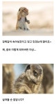 실눈 동료 흑막 클리셰 - DogDrip.Net 개드립