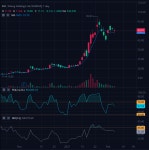 미국에 상장한 참깨 주식회사 - DogDrip.Net 개드립