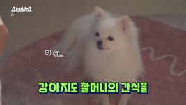 손주 간식 만들던 할머니들이 갖게 된 새 직업의 정체 - DogDrip.Net 개드립