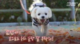 전국에 생중계됐던 남산 아파트 폭파 - DogDrip.Net 개드립
