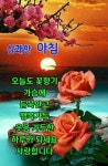 횐님덜,.. 좋은 아침 🌅 - DogDrip.Net 개드립