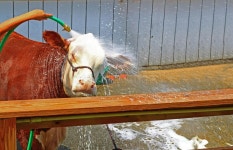 세탁소 - DogDrip.Net 개드립