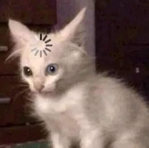 뮤컬러 이미지