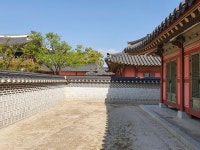 약스압)개붕이 수원에서 사진찍고왔다 - DogDrip.Net 개드립