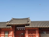 약스압)개붕이 수원에서 사진찍고왔다 - DogDrip.Net 개드립