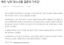 북한 “남한 청소년들 결혼에 거부감” - DogDrip.Net 개드립