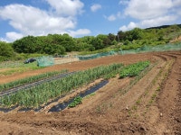 헬스가 힘들어? - DogDrip.Net 개드립