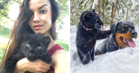 흑표 키우는 소녀(아가씨?) - DogDrip.Net 개드립