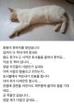 🐴고양이 17마리 키우는 주인한테 독약 탄 사료 보냄 - DogDrip.Net 개드립