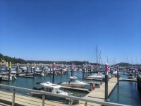 왕산 마리나 - DogDrip.Net 개드립