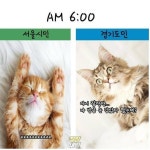 서울시민 vs 경기도민 - DogDrip.Net 개드립