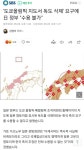 요번 일본의 독도삭제거부가 더 어이없는 이유 - DogDrip.Net 개드립