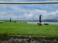 삼락생태공원 - DogDrip.Net 개드립