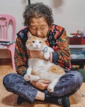 고양이 먹는 할머니.jpg - DogDrip.Net 개드립