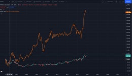 어제부터 일본 핫했지? 재미로 알아보는 일본 BOJ 성향 - DogDrip.Net 개드립