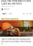 서울 지하철 환풍구 작업중 20대 추락사.news - DogDrip.Net 개드립