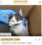 훌쩍훌쩍 단또 외모지상주의..jpg - DogDrip.Net 개드립