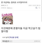 자급제 폰 사면 안되는 이유.jpg - DogDrip.Net 개드립