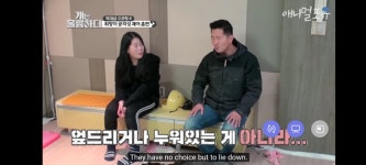 개훌륭 견주 댓글다툼 - DogDrip.Net 개드립
