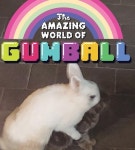 스압주의)동물농장 - DogDrip.Net 개드립