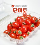[자작][농대생 잡이야기] 스테비아 토마토는 무엇인가? - DogDrip.Net 개드립