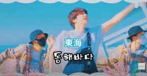 BTS 진 슈퍼참치 동해바다 일본인들은 어떻게 번역했을까 - DogDrip.Net 개드립