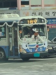 실시간 부산 189번 버스 - DogDrip.Net 개드립