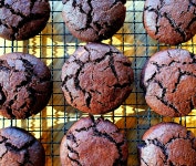 수제 쿠키 보고가 - DogDrip.Net 개드립