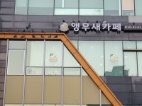 앵무새카페 근황 - DogDrip.Net 개드립