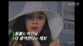 동물들도 미녀를 좋아할까? - DogDrip.Net 개드립