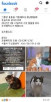 철거당한 고양이 민박 - DogDrip.Net 개드립