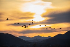 순천에서 사천까지(사진 8장) - DogDrip.Net 개드립