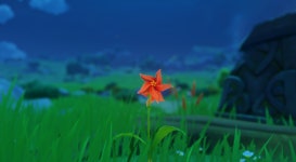 원신 이미지 모음 - 몬드편 - DogDrip.Net 개드립