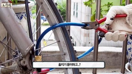 한국이 유달리 자전거만 훔치는 이유 - DogDrip.Net 개드립