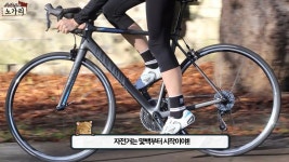 한국이 유달리 자전거만 훔치는 이유 - DogDrip.Net 개드립