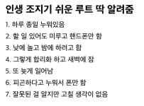로나 유니버스인지 뭔지 나만 ㅈ같이 기대안되냐? - DogDrip.Net 개드립