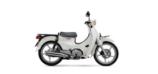 슈퍼커브 2022년식 새색상 보고가라 - DogDrip.Net 개드립