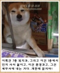 제목학원 2 - DogDrip.Net 개드립