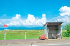 일본의 시골 그리고 참깨의 시골 - DogDrip.Net 개드립