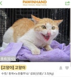 단또 최강 전사 - DogDrip.Net 개드립