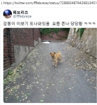 수색동 유명인사 - DogDrip.Net 개드립