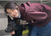 마음아파 동물농장도 못봐…김건희, 연일 환경·동물 보호 메시지 - DogDrip.Net 개드립