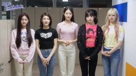 여자도 키가 무조건 커야한다 180 되어야한다 - DogDrip.Net 개드립