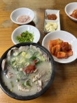 걸어서 해남가는 개붕이 2일차 - DogDrip.Net 개드립
