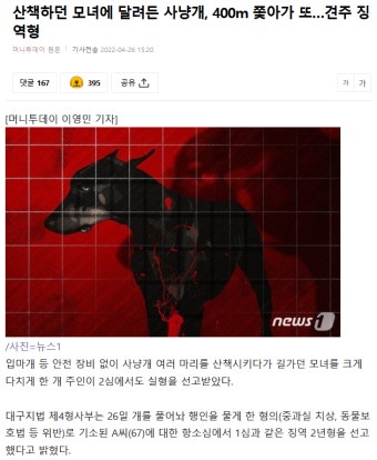 모녀에 달려든 사냥개의 견주 징역형 - DogDrip.Net 개드립