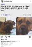 나는 솔로 707 영철의 이모티콘 사용법 - DogDrip.Net 개드립