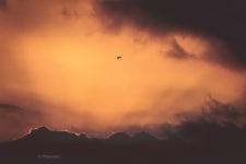 [19MB]감성사진 - DogDrip.Net 개드립