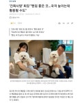 건희사랑 회장 팬덤 좋은 것…국격 높이는데 활용될 수도 - DogDrip.Net 개드립