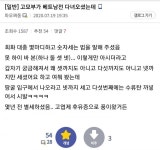 베트남어로 넷까지 세는 이유 - DogDrip.Net 개드립